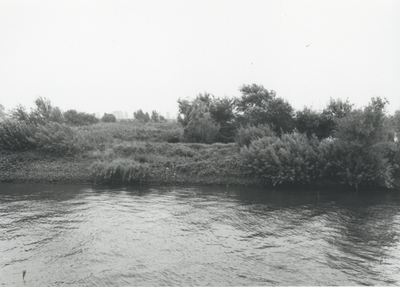 F015685 Fotoreportage van de oevers van de De Hank aan de IJsselzijde (tussen Wilsum en De Zande).
