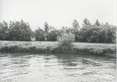 F015689 Fotoreportage van de oevers van de De Hank aan de IJsselzijde (tussen Wilsum en De Zande).