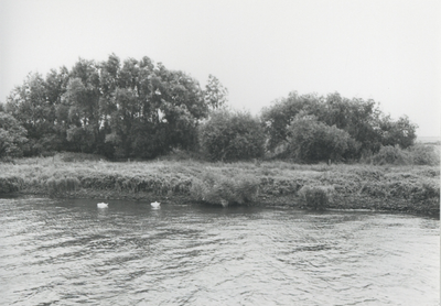 F015692 Fotoreportage van de oevers van de De Hank aan de IJsselzijde (tussen Wilsum en De Zande).