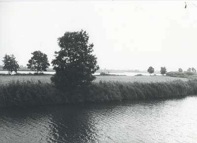 F015698 Fotoreportage van de oevers van de De Hank aan de Koeluchter zijde (tussen Wilsum en De Zande).