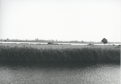 F015699 Fotoreportage van de oevers van de De Hank aan de Koeluchter zijde (tussen Wilsum en De Zande).