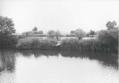 F015705 Fotoreportage van de oevers van de De Hank aan de Koeluchter zijde (tussen Wilsum en De Zande).