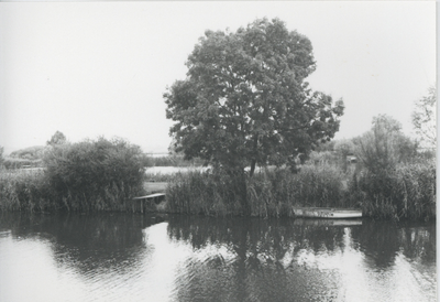 F015706 Fotoreportage van de oevers van de De Hank aan de Koeluchter zijde (tussen Wilsum en De Zande).