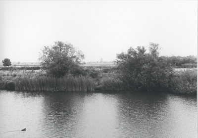 F015710 Fotoreportage van de oevers van de De Hank aan de Koeluchter zijde (tussen Wilsum en De Zande).