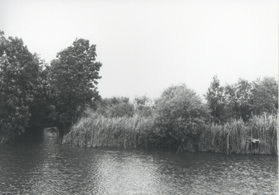 F015715 Fotoreportage van de oevers van de De Hank aan de Koeluchter zijde (tussen Wilsum en De Zande).