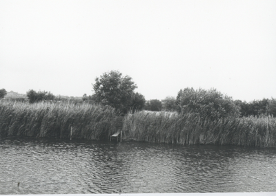 F015718 Fotoreportage van de oevers van de De Hank aan de Koeluchter zijde (tussen Wilsum en De Zande).