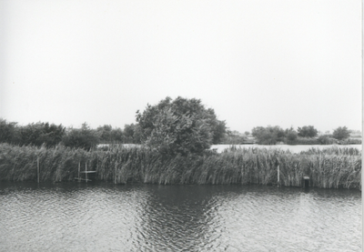 F015720 Fotoreportage van de oevers van de De Hank aan de Koeluchter zijde (tussen Wilsum en De Zande).