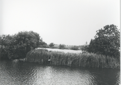 F015721 Fotoreportage van de oevers van de De Hank aan de Koeluchter zijde (tussen Wilsum en De Zande).