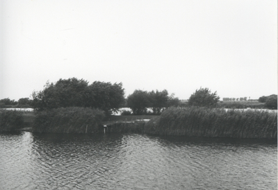 F015727 Fotoreportage van de oevers van de De Hank aan de Koeluchter zijde (tussen Wilsum en De Zande).