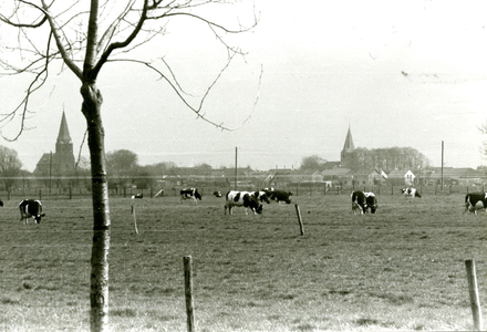  Toegang bebouwde kom Werkhoven