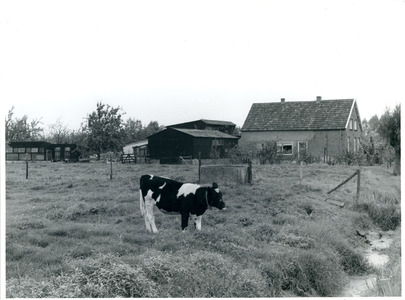 De voorkant van de boerderij