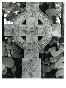  Gedenksteen Regis De Leuze aan de Laan. De Leuze stortte op 25 februari 1945 op deze plek neer en kwam daarbij om het leven.