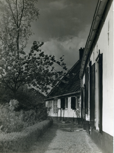 Witte Huisjes aan het kerkpad voorjaar 1961. Achterste deel voorheen Bakkerij Ettekhoven