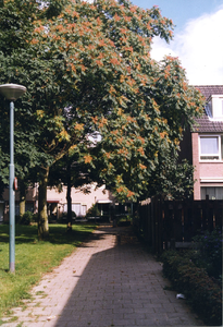  Pad langs plantsoen Van Merkensteijngaarde