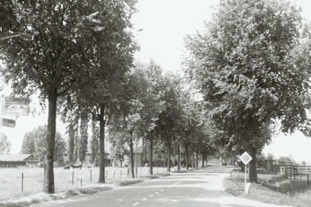 Achterdijk ter hoogte van de Burgweg