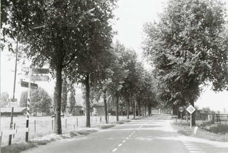 Achterdijk ter hoogte van de Burgweg