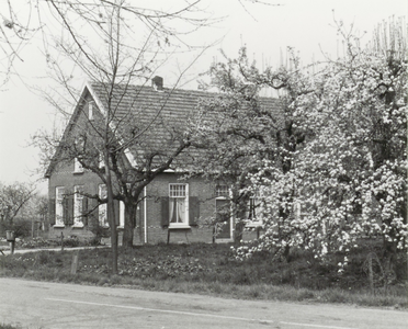  Langhuisboerderij met bloeiende appelboom