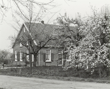 Langhuisboerderij met bloeiende appelboom