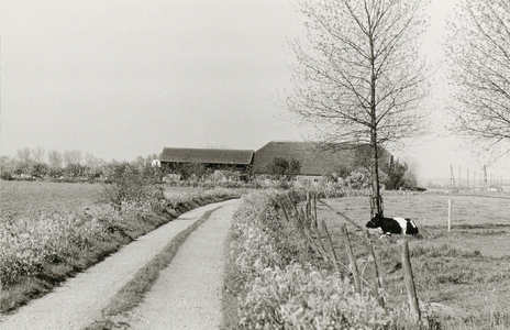Langhuisboerderij Julianahoeve -zijaanzicht
