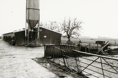 Houten varkensschuur met voedersilo achter de boerderij