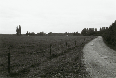  Weiland met op de achtergrond de vage contouren van een boerderij en rechts de Kromme Steeg als grindweg, gezien vanaf ...