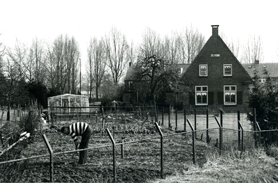  De woning De Vork, links een plantenkas en een man die de tuin bewerkt