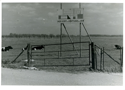  Een weiland met koeien met een bouwbord met de tekst 'HIER KOMT het DORPSHUIS van ODIJK'.