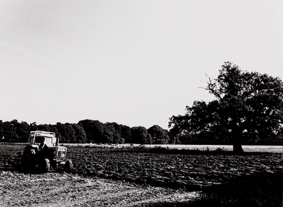  Ploegende tractor op een akker met koeien en bomen op de achtergrond waarschijnlijk onder Bunnik