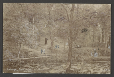  De Acaciavijver met wandelaars en spelende kinderen. In het bos.