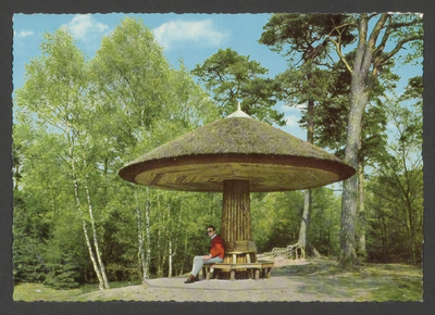  Bosgezicht met een rond de stam van een boom gebouwde paddenstoel met daaronder een ronde bank..