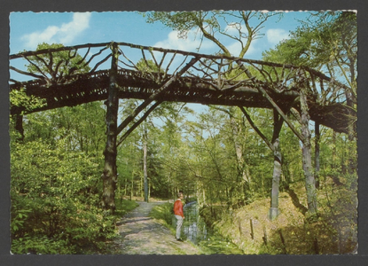  Bosgezicht met Zwitserse brug.