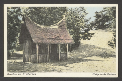  Bos en duinen met een Batak-huisje.
