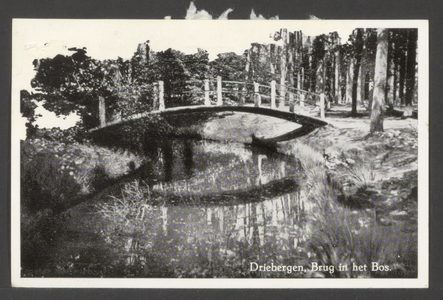  Brug over beekje in het bos.