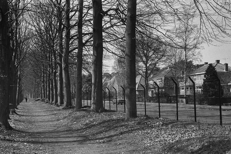  Bospad aan de noordoostzijde van de weilanden van het Seminarie, langs de Arnhemsebovenweg (foto 32 in de scriptie)