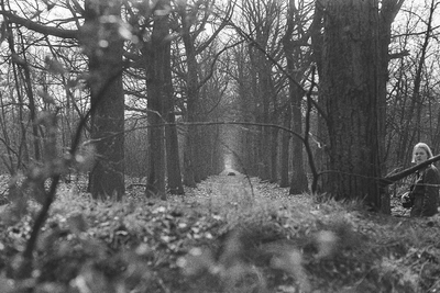  Een pad in het Seminariebos, gezien vanaf de Arnhemsebovenweg (foto 34 in de scriptie)