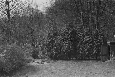  Zicht op Sparrendaal vanuit de tuin van Huize Ter Gouw (foto 19 in de scriptie)