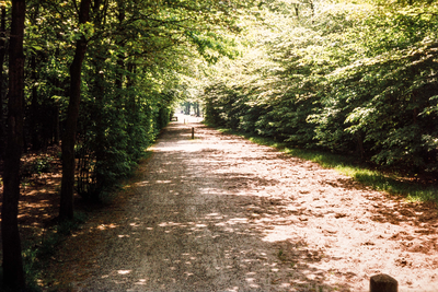  Het ruiter- en bospad tussen het Seminariebos en de Heidetuin, richting Diederichslaan