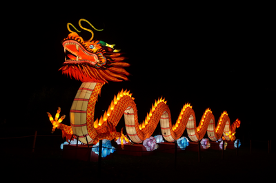  Het Chinese lichtfestival. ook wel lantaarnfeest genoemd, in Ouwehands Dierenpark