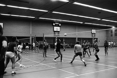  Volleybal toernooi in 't Gastland