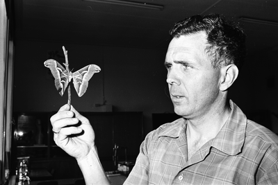  Leraar biologie Tom Koesveld toont vlinder in de Wilhelminamavo