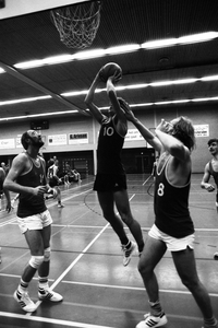  Basketbal Blackstars tegen Sheta in 't Gastland