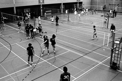  Volleybaltoernooi RHEVO in 't Gastland