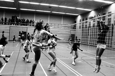  Volleybaltoernooi RHEVO in 't Gastland