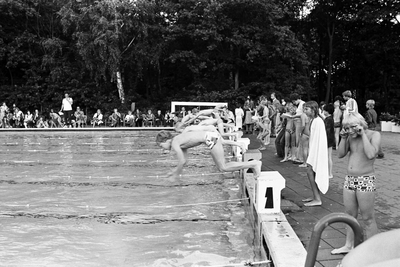  Zwemwedstrijd in Ouwehands Dierenpark