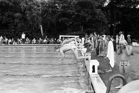  Zwemwedstrijd in Ouwehands Dierenpark