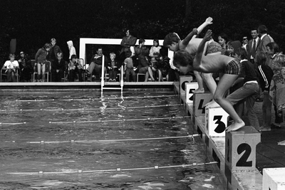  Zwemwedstrijd in Ouwehands Dierenpark