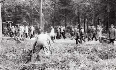  Rhenense schoolkinderen gaan bomen planten bij de trimbaan. Daar is enige tijd geleden een heel strook bos plat gewaaid