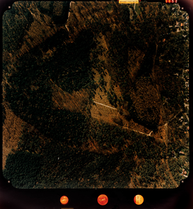  Luchtfoto (kleur) gemeente Doorn: Heuvelrug-zijde met oa. Kaapse Bossen (nr. 5852)