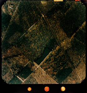 Luchtfoto (kleur) gemeente Doorn: Heuvelrug-zijde met oa. bossen Hoog Moersbergen, Austerlitzeweg (nr. 5895)