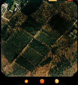  Luchtfoto (kleur) gemeente Doorn: Heuvelrug-zijde met oa. Stamerweg, Nieuwe Algemene Begraafplaats (nr. 5907)